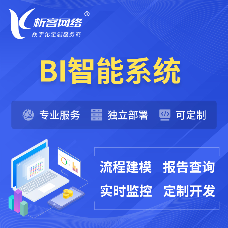 沧州BI智能系统 | BI数据可视化